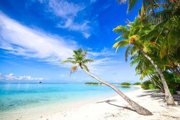 What are the top UK rentals for a winter escape?